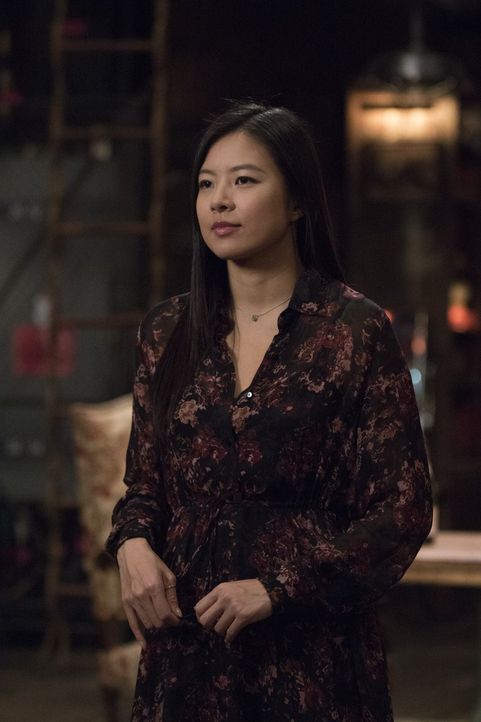 Das Mastermind hinter den Wahrsagungen der getöteten Hellseherin ist Vivian Song (Christine Ko) - kann sie helfen, den Mörder zu finden? - Bildquelle: Warner Bros.