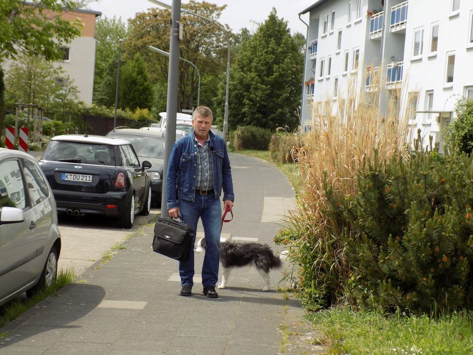 Hundetrainer Dirk Lenzen will Familie Yapar aus Köln beim Welpenkauf beraten ... - Bildquelle: SAT.1