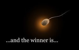 the-winner-is