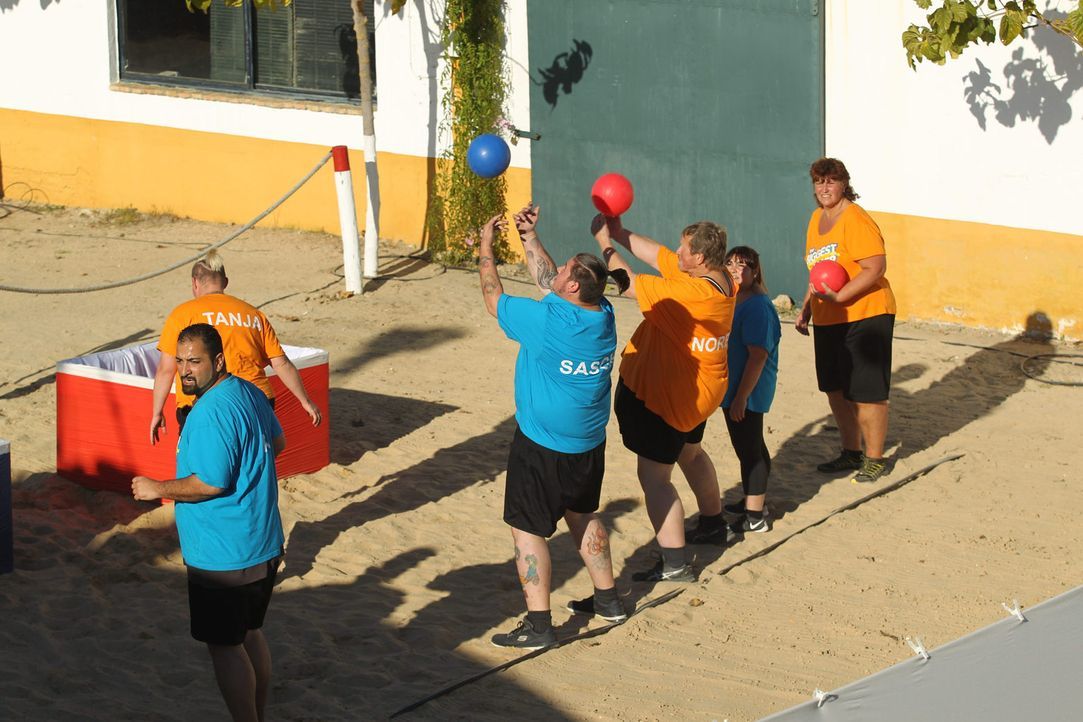 Welches Team gewinnt die neue Challenge? (v.l.n.r.) Umut, Tanja, Sascha, Norbert, Dani und Michaela ... - Bildquelle: Enrique Cano Sat.1