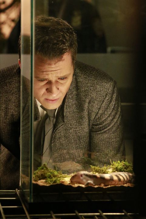 Verfolgt zunächst eine falsche Fährte: Detective Kevin Ryan (Seamus Dever) ... - Bildquelle: Mitchell Haaseth 2016 American Broadcasting Companies, Inc. All rights reserved.