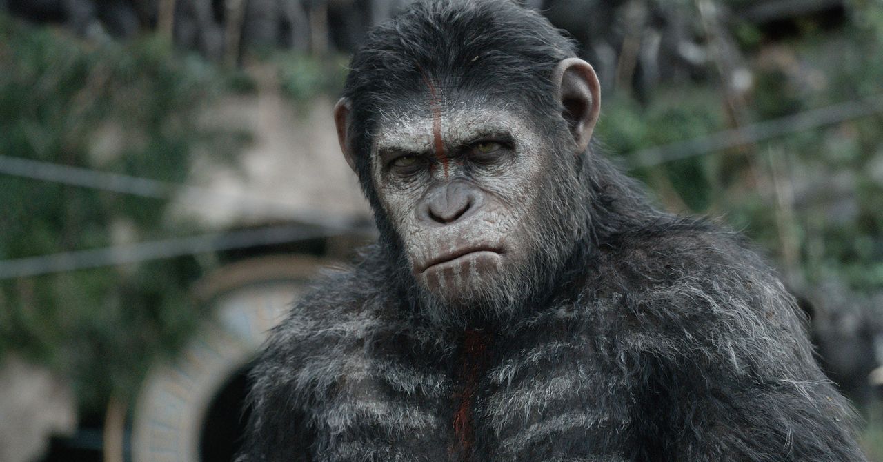Kann Caesar (Andy Serkis) den alles entscheidenden Kampf zwischen Menschen und Affen noch verhindern? - Bildquelle: 2014 Twentieth Century Fox Film Corporation. All rights reserved.