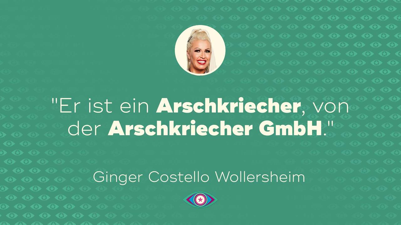 Download Arschkriecher sprueche For Free