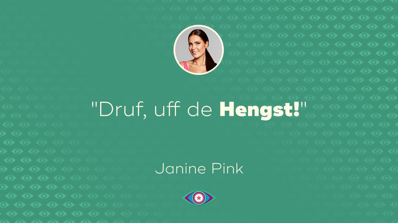 Tag 1: Janine Pink - Hengst - Bildquelle: SAT.1