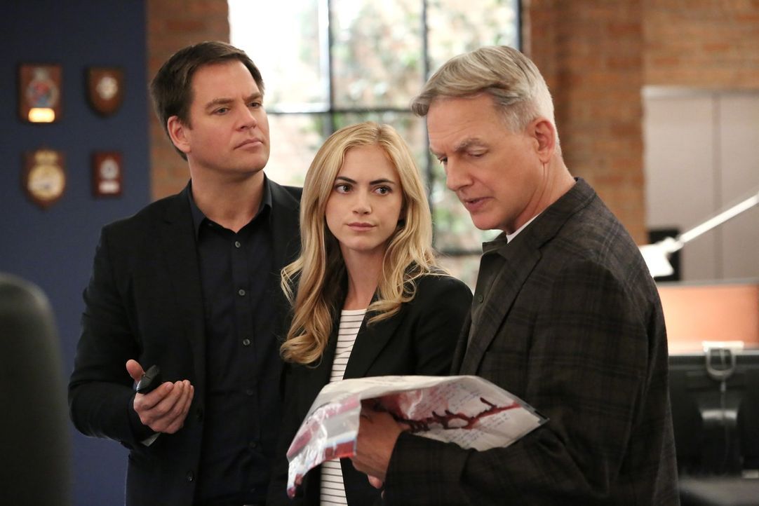 DiNozzo (Michael Weatherly, l.), Eleanor Bishop (Emily Wickersham, M.) und Gibbs (Mark Harmon, r.) haben keine Ahnung, wo die gefälschten "kugelsich... - Bildquelle: CBS Television