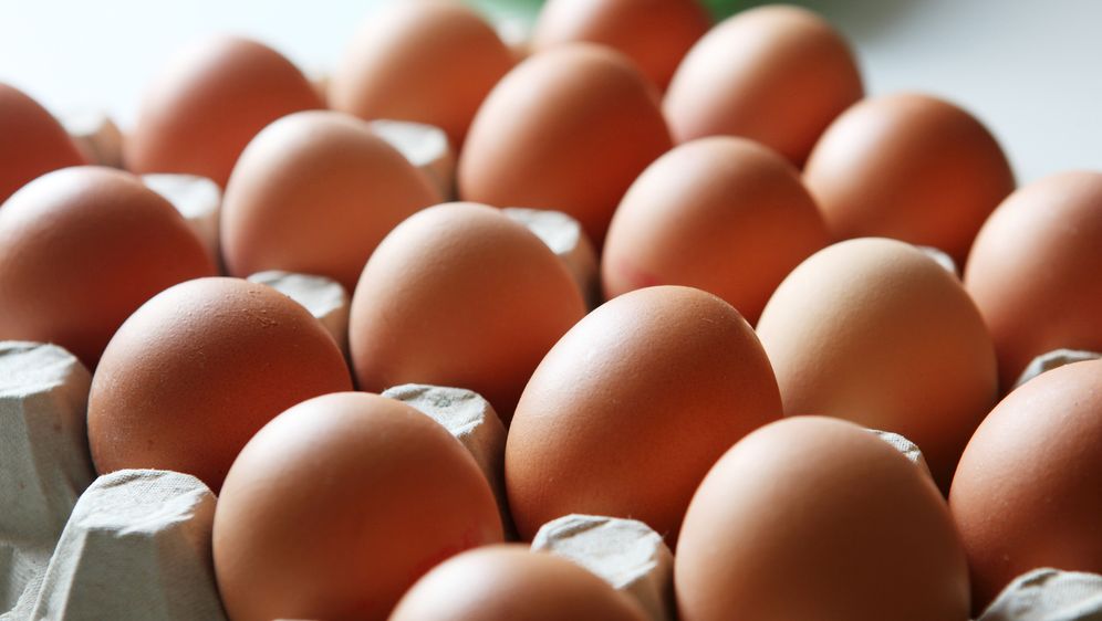 Braune Eier färben Tipps und Tricks SAT.1 Ratgeber