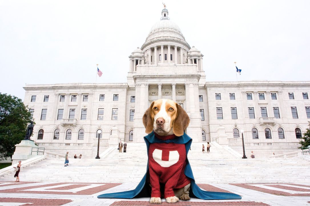 Ein so genanntes Supervitamin verleiht dem Beagle Shoeshine Superkräfte ... - Bildquelle: Walt Disney Pictures.  All rights reserved