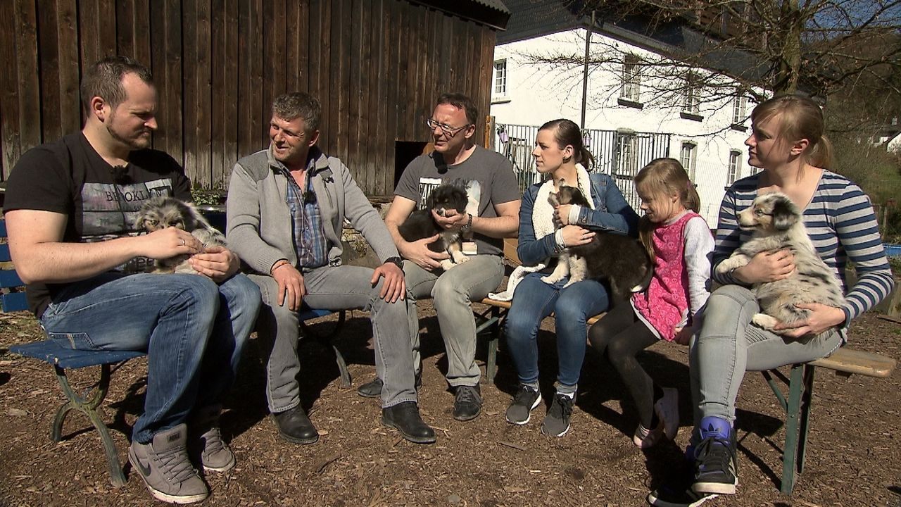 Familie Zieglerski möchte tierischen Zuwachs. Gemeinsam mit Hundeexperte Dirk Lenzen (2.v.l.) besuchen sie drei Hundezüchter, um den geeigneten Hund... - Bildquelle: SAT.1