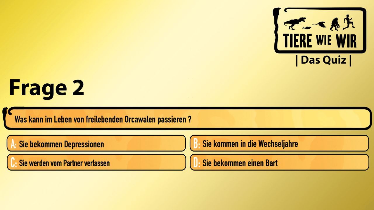 2_Frage
