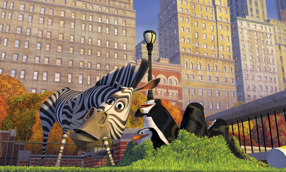 Der Löwe Alex, das Zebra Marty, die Giraffe Melman und das Nilpferd Gloria aus dem New Yorker Central Park Zoo sind die besten Freunde. Doch Marty... - Bildquelle: TM &   2004 DREAMWORKS ANIMATION SKG.