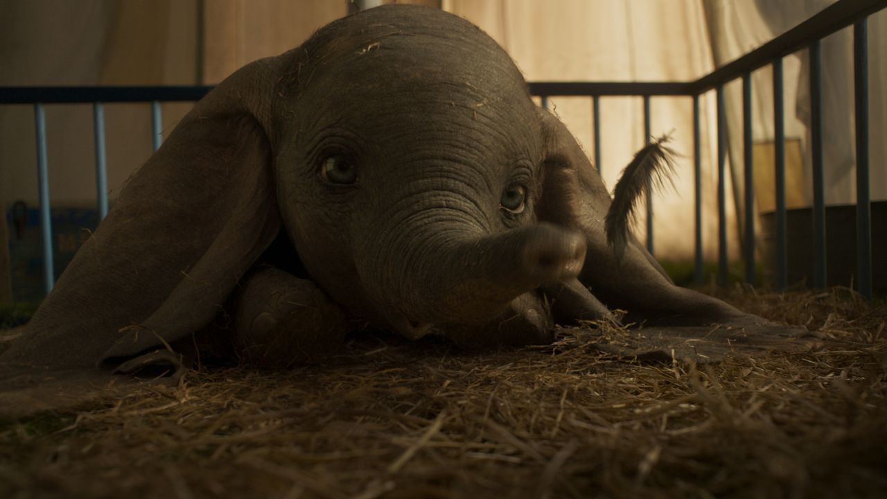 Dumbo - Bildquelle: Disney Enterprises, Inc.