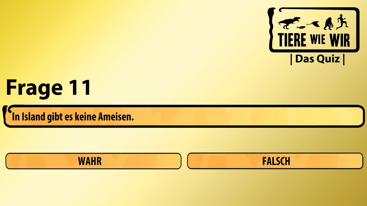 11_Frage