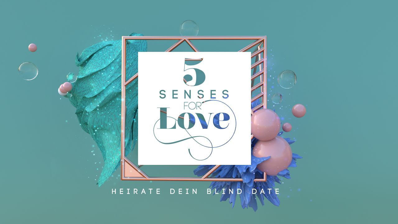5 Senses for Love - Heirate dein Blind Date - Logo - Bildquelle: SAT.1