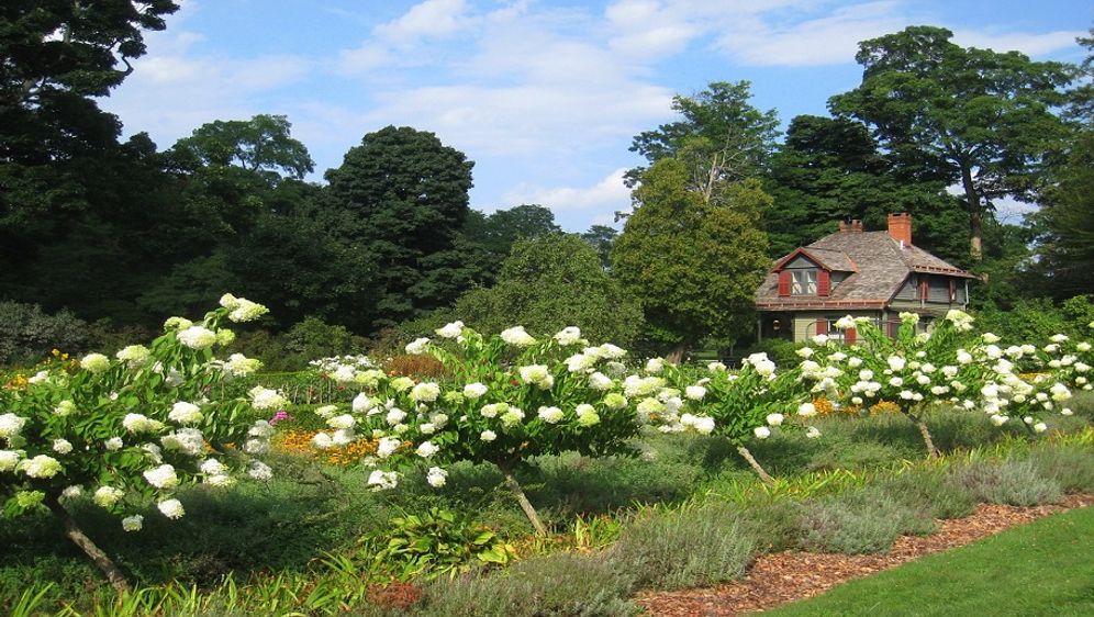 Hanggarten gestalten Diese Blumen eignen sich SAT.1