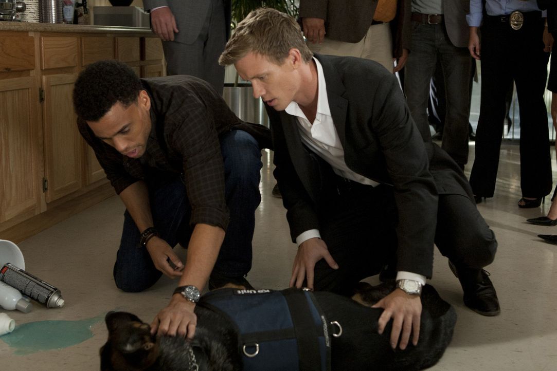 Die beiden Cops Travis (Michael Ealy, l.) und Wes (Warren Kole, r.) untersuchen die Schüsse auf einen Kollegen und kümmern sich währenddessen um... - Bildquelle: 2012 USA Network Media, LLC