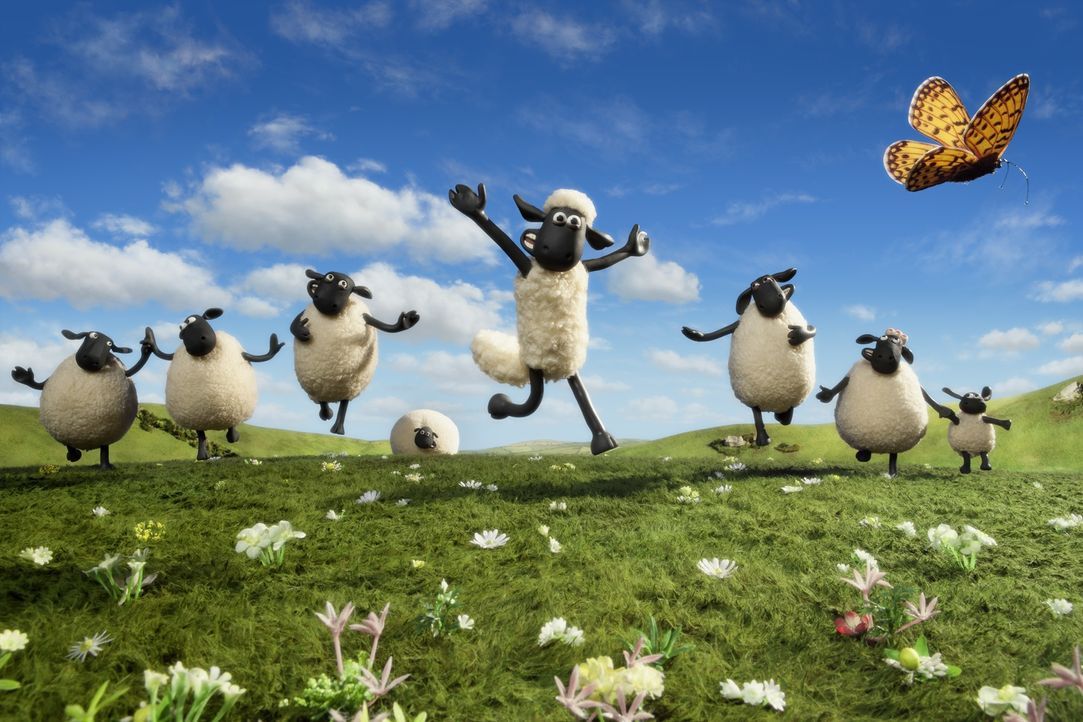 Shaun (M.) und seine Herde wissen, wie man Spaß haben kann, doch als der Bauer plötzlich nicht mehr auf den Hof zurückkehrt, beginnt für die Schafe... - Bildquelle: 2014 AARDMAN ANIMATIONS LIMITED AND STUDIOCANAL SA. A STUDIOCANAL RELEASE. ALL RIGHTS RESERVED.