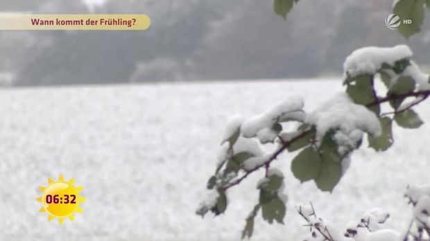 Frühstücksfernsehen - Video - Wann kommt der Frühling? - Sat.1