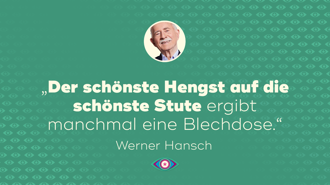 25_Werner