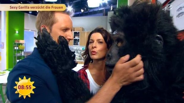 Frhstcksfernsehen Video Sexy Gorilla Verzckt Die