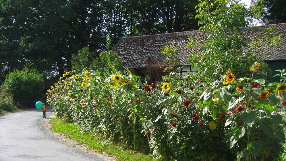 Bauerngarten Anlegen Gartengestaltung Anders Sat 1 Ratgeber