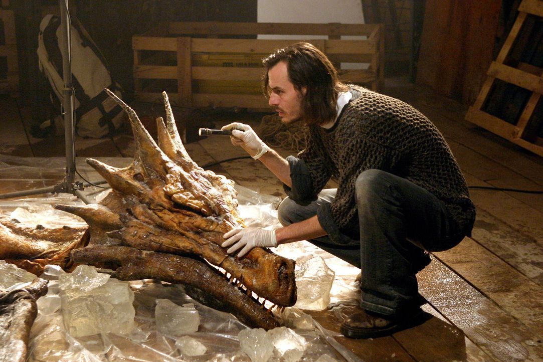 Mit viel Liebe zum Detail gelingt es dem Paläontologen Paul Hilton-Tanner, die Welt der Drachen auferstehen zu lassen ...