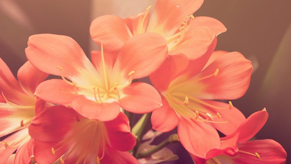  - Bildquelle: Pixabay.com