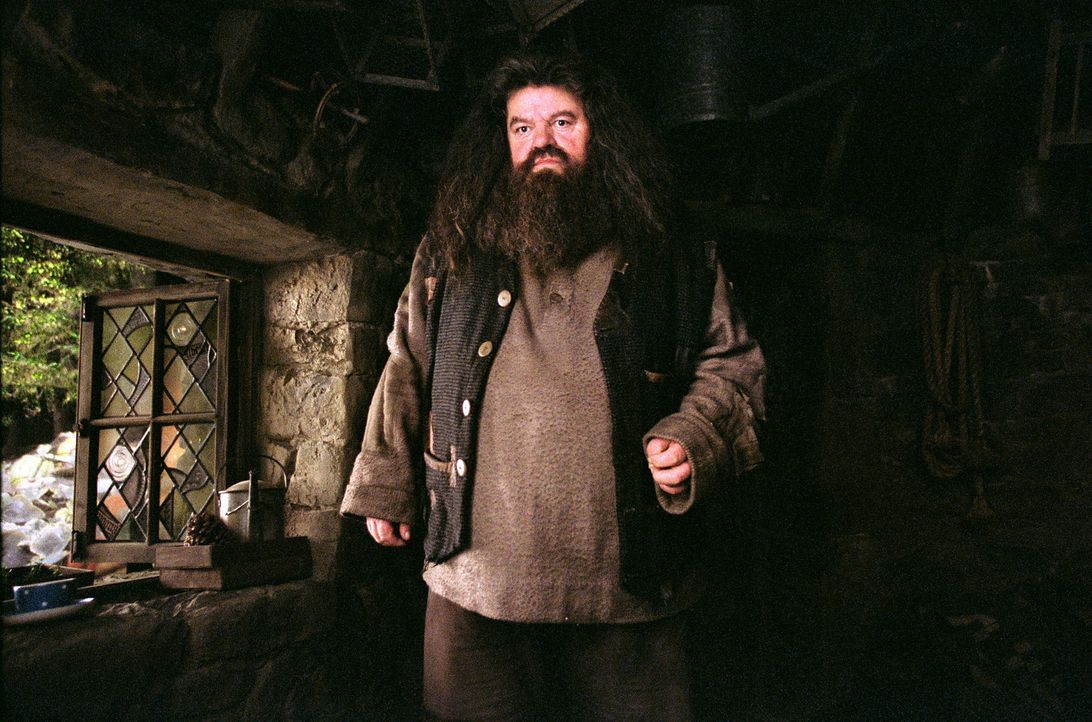 Neuer Lehrer in Hogwarts: Hagrid (Robbie Coltrane) ... - Bildquelle: Warner Television