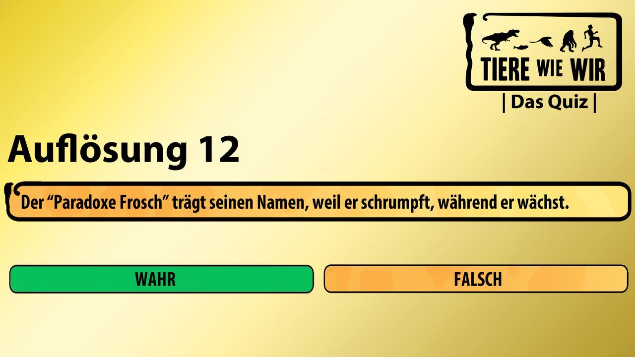 12_Auflösung