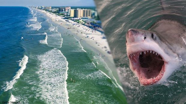 Gefährlichster Strand der Welt: Drei Haiangriffe in 24 Stunden