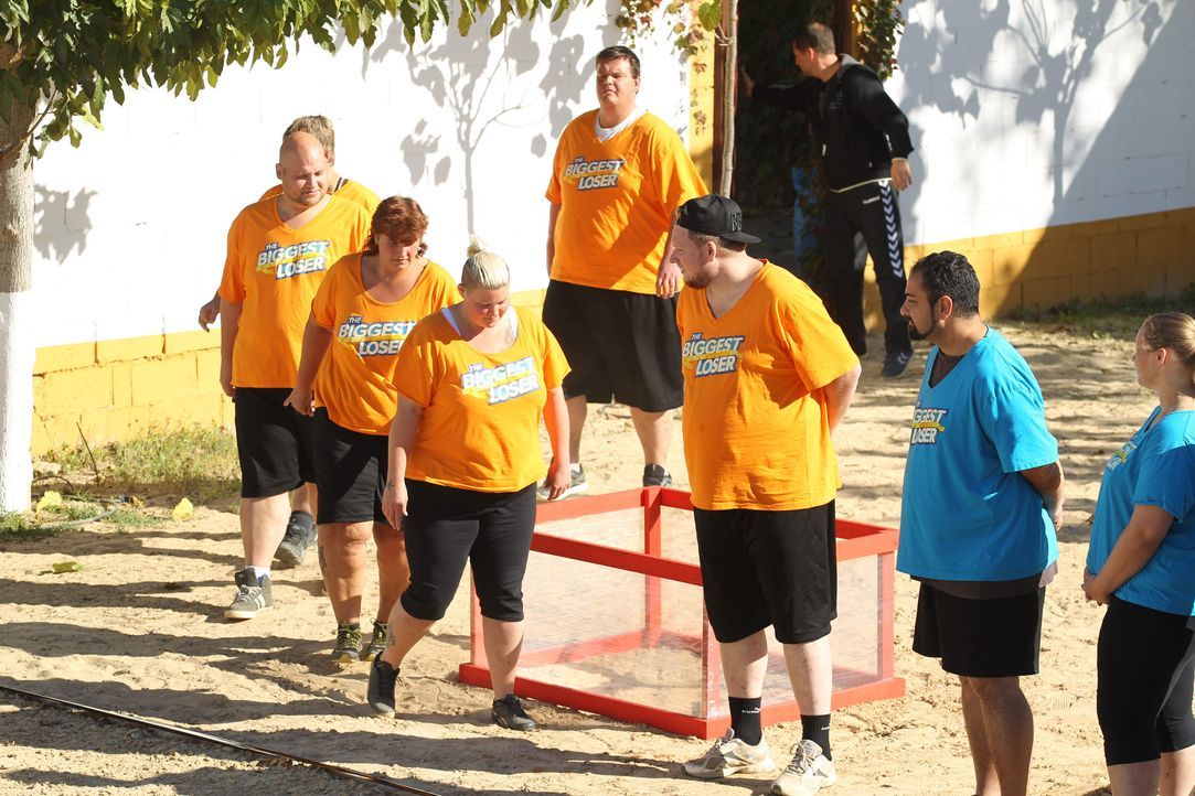TBL_25112015-1070 - Bildquelle: SAT.1/Enrique Cano
