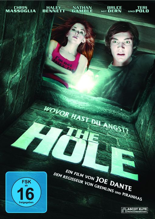 THE HOLE - Cover - Bildquelle: 2009 Ed Araquel/Bold FIlms