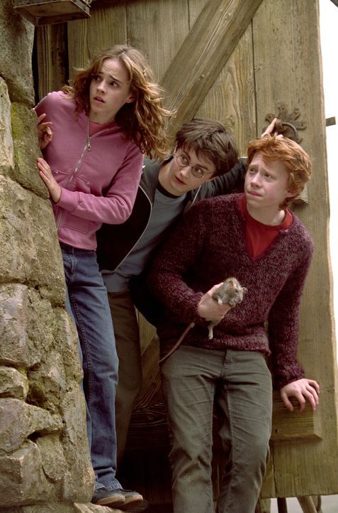 Können Ron (Rupert Grint, r.) und Hermine (Emma Watson, l.) Harry Potter (Daniel Radcliffe, M.) vor dem gefährlichen Sirius Black beschützen? - Bildquelle: Warner Television