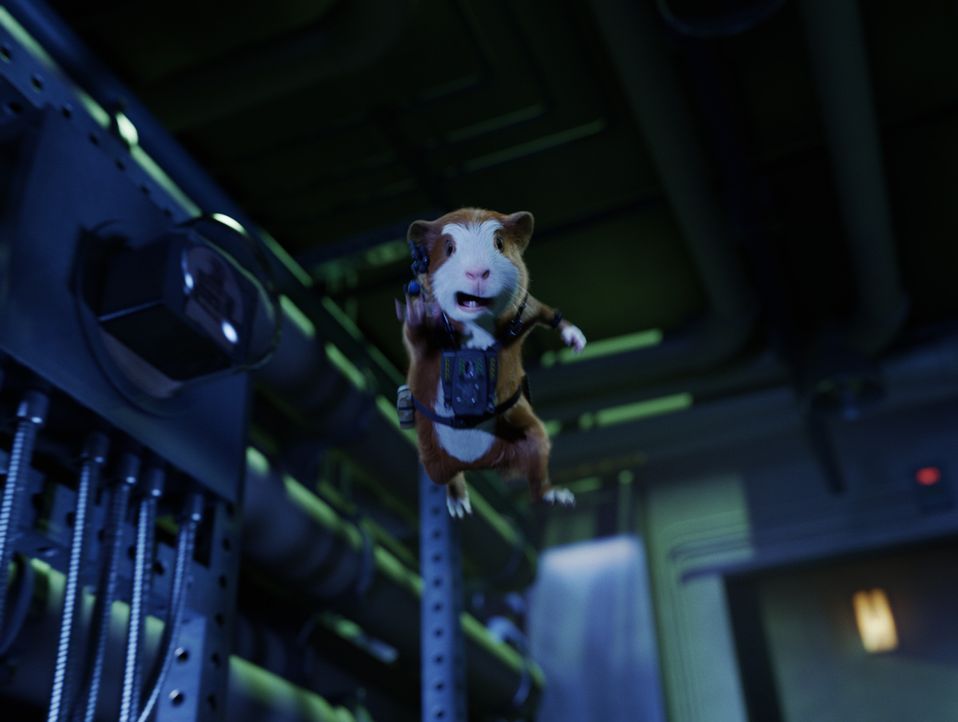 Gemeinsam mit seinem Meerschweinchen-Kollegen soll Darwin den superreichen Schurken Leonard Saber zur Strecke bringen, der mit einem grotesken Vorha... - Bildquelle: Robert Zuckerman Disney Enterprises, Inc. and Jerry Bruckheimer Inc.  All Rights Reserved