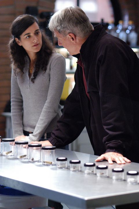 Ziva (Cote de Pablo, l.), ist für Gibbs (Mark Harmon, r.) und seine Leute undurchsichtig und rätselhaft ... - Bildquelle: TM &   2006 CBS Studios Inc. All Rights Reserved.