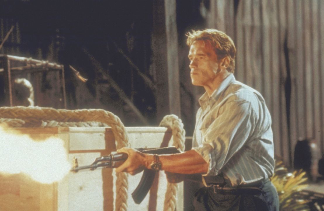 Auf gnadenlosem Kurs: Harry Tusker (Arnold Schwarzenegger) ... - Bildquelle: 20th Century Fox Film Corporation