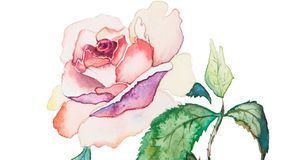Einfach rosen malen Acryl Blumen