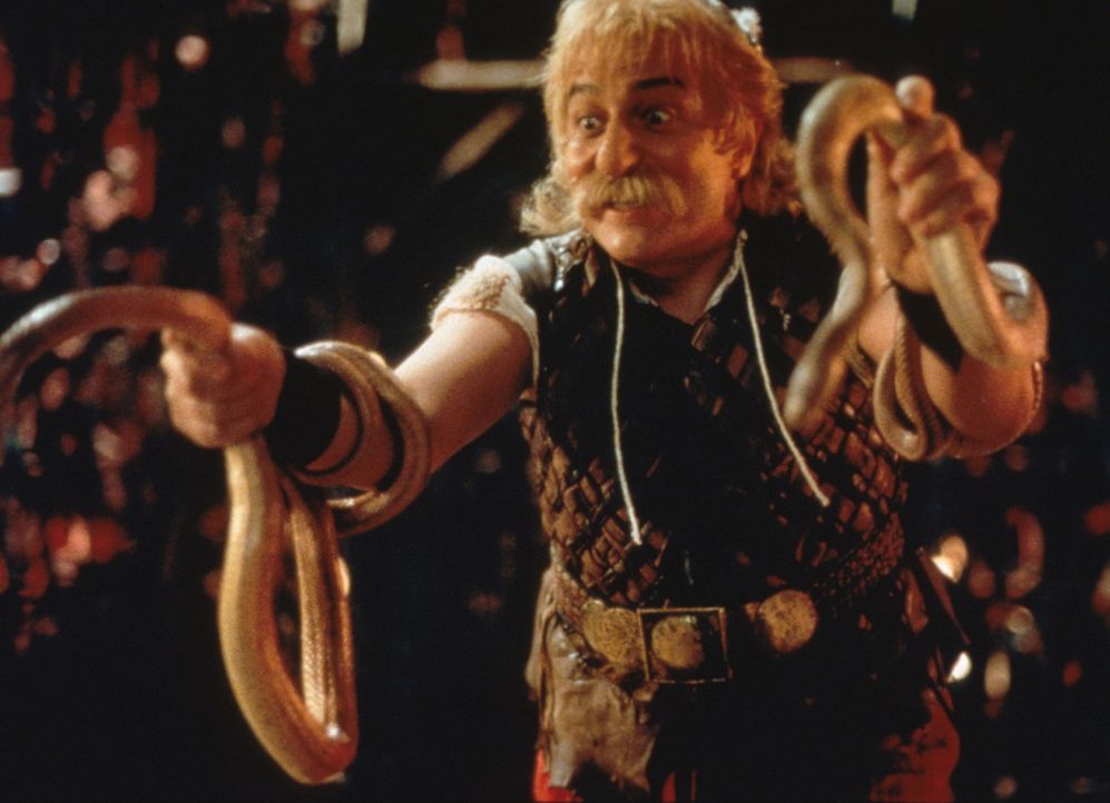 Nachdem Miraculix entführt wurde, sind die Gallier geschockt und beauftragen den mutigen Asterix (Christian Clavier) und dessen Freund Obelix, den... - Bildquelle: Constantin Film
