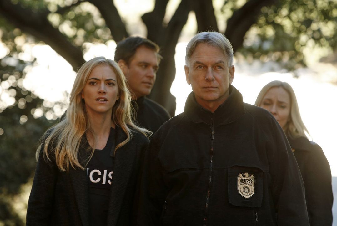 Eine gestohlene Drohne führt Bishop (Emily Wickersham, vorne l.) und Gibbs (Mark Harmon, vorne r.) zu dem skrupellosen Terrorist Parsa ... - Bildquelle: CBS Television