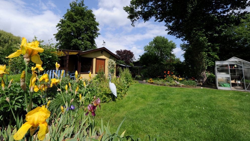 Schrebergarten mieten? Tipps für den Kleingarten - SAT.1 ...