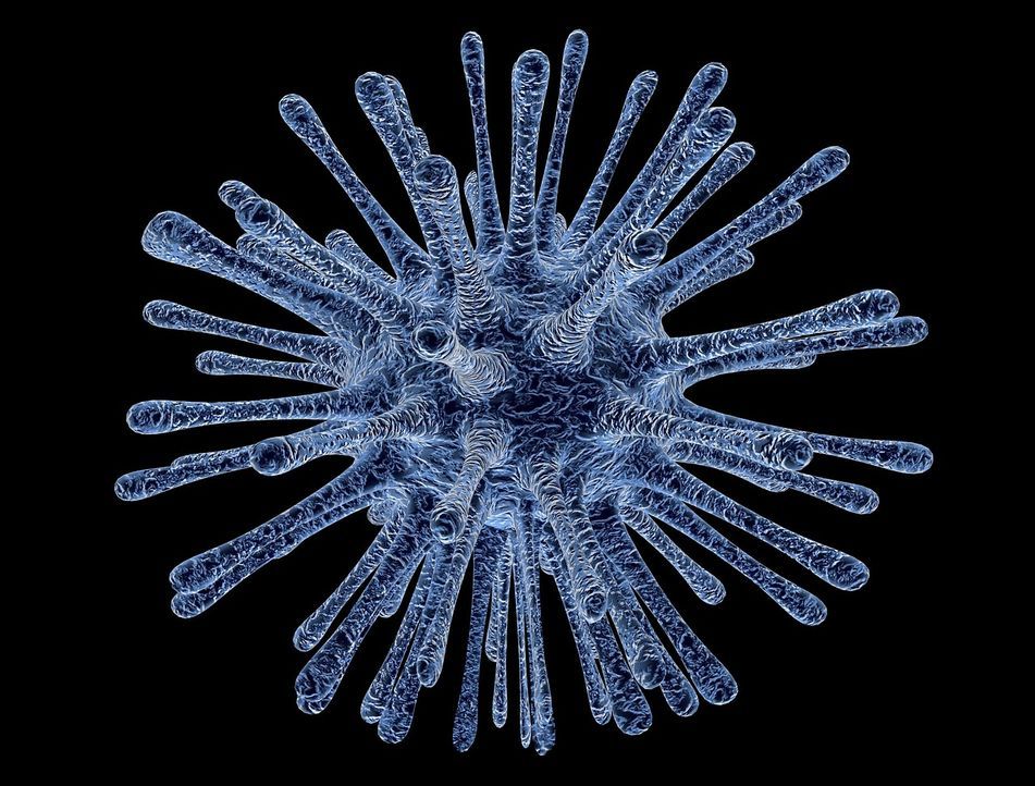 virus-infected-cells-213708_1280 - Bildquelle: Pixabay