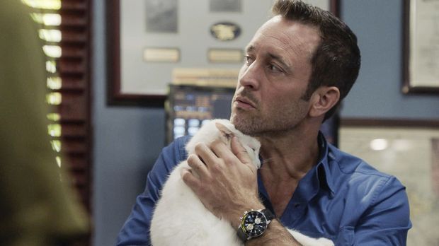 Hawaii Five-0 - Hawaii Five-0 - Staffel 9 Episode 21: Katzenjammer