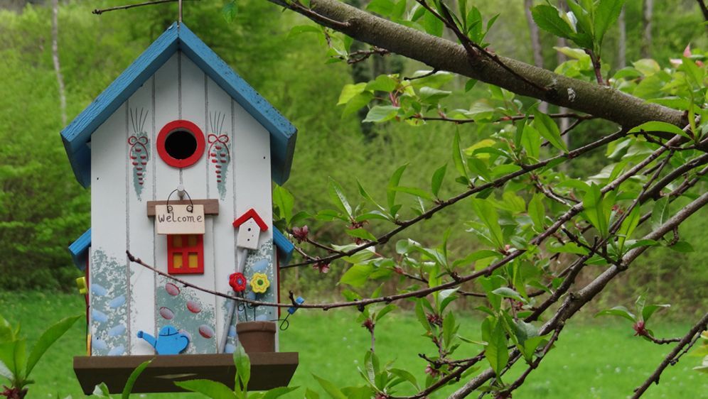 Geschenke Fur Den Garten Stilvolle Ideen Sat 1 Ratgeber