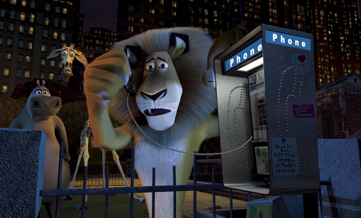 Mitten in der Nacht stellen Alex, Melman und Gloria fest, dass ihr Freund Marty, das Zebra aus dem Zoo verschwunden ist. Sie beschließen, selbst au... - Bildquelle: TM &   2004 DREAMWORKS ANIMATION SKG.