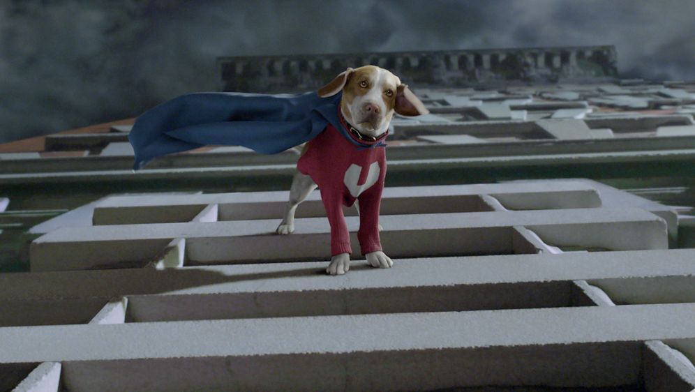 Underdog - Unbesiegt weil er fliegt - Bildquelle: Walt Disney Pictures.  All rights reserved