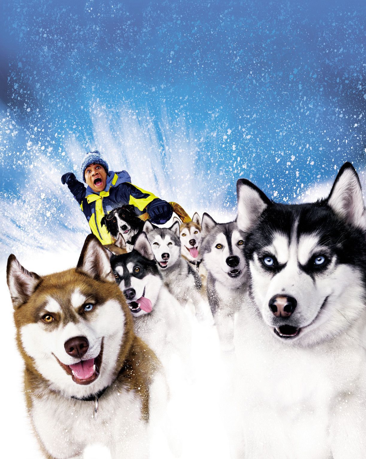 Bilder Snow Dogs 8 Helden Auf 4 Pfoten Film Sat 1