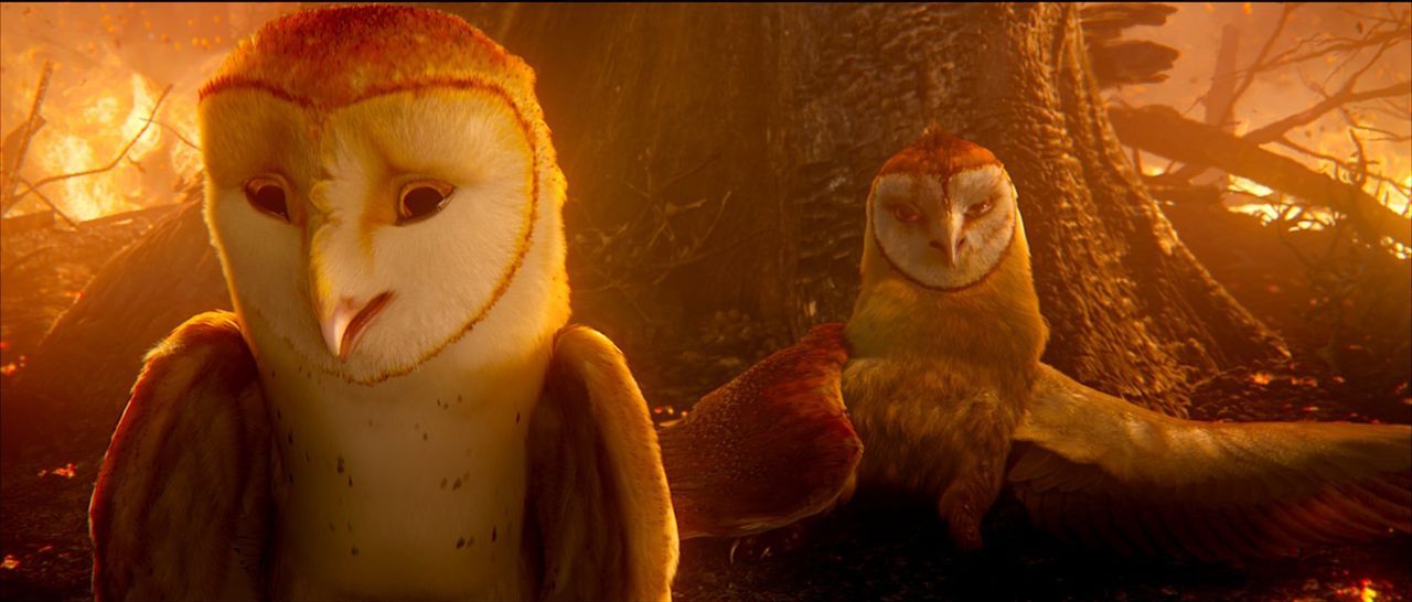 Soren (l.) und Kludd (r.) haben einen folgenschweren Streit: Die beiden Brüder fallen aus dem Nest und dabei direkt in die Klauen der Bösen ... - Bildquelle: Warner Brothers