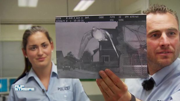 Auf Streife - Auf Streife - Tiefflieger