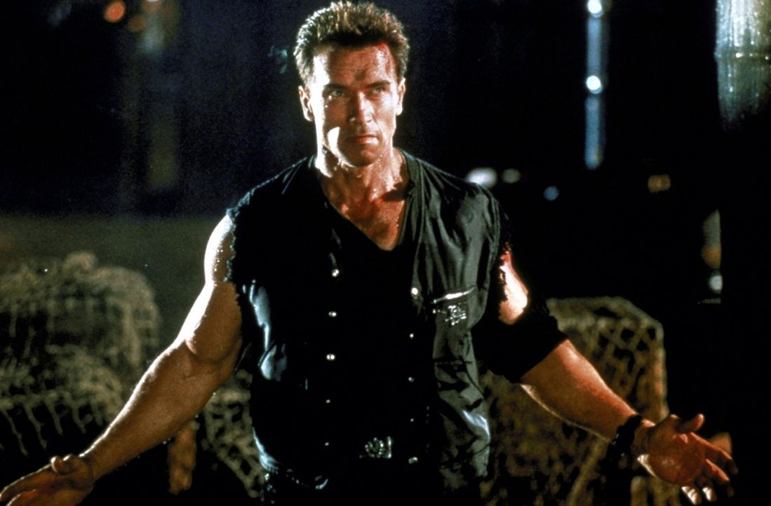Stich ins Wespennest: John Kruger (Arnold Schwarzenegger) ... - Bildquelle: Warner Brothers International Television Distribution Inc.