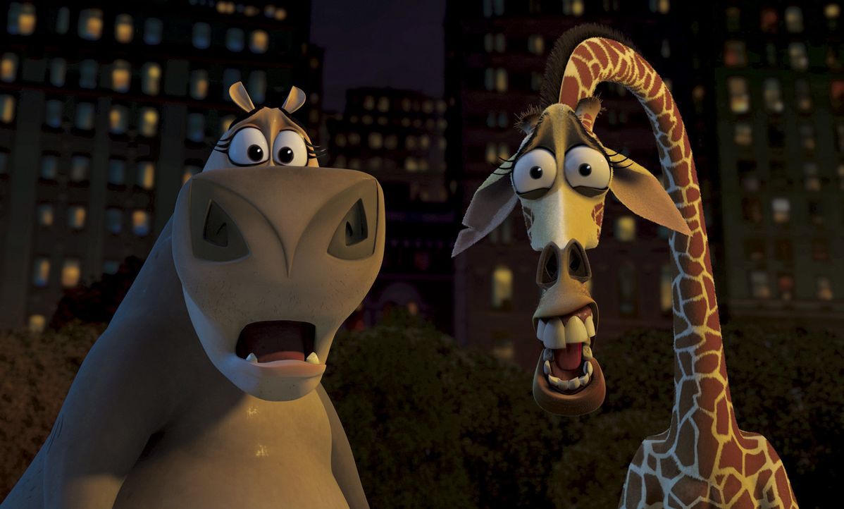 Als das Zebra Marty eines Nachts spurlos verschwindet, machen sich Melman, Gloria und Alex im Großstadtdschungel New Yorks auf die Suche nach dem A... - Bildquelle: TM &   2004 DREAMWORKS ANIMATION SKG.