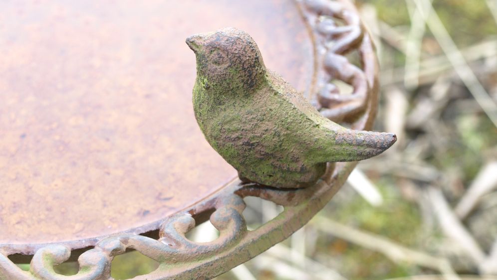 Vogeltranke Selber Machen Sat 1 Ratgeber